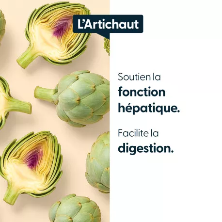 Artichaut concentré - 5 % de Cynarine