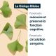 Ginkgo Biloba concentré - 24 % de glycosides de flavonols