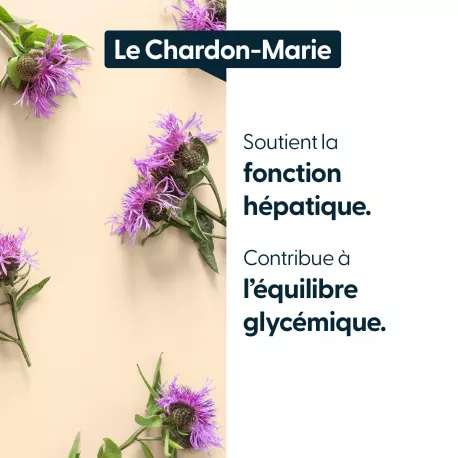 Chardon Marie titré à 80 % de silymarine - 30 gélules végétales
