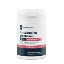 Lactobacillus plantarum