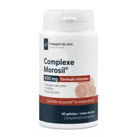 Complexe Morosil