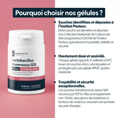 Lactobacillus rhamnosus 15 Milliards d'UFC - Gélules gastro résistantes