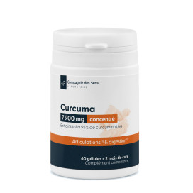 Curcuma concentré 