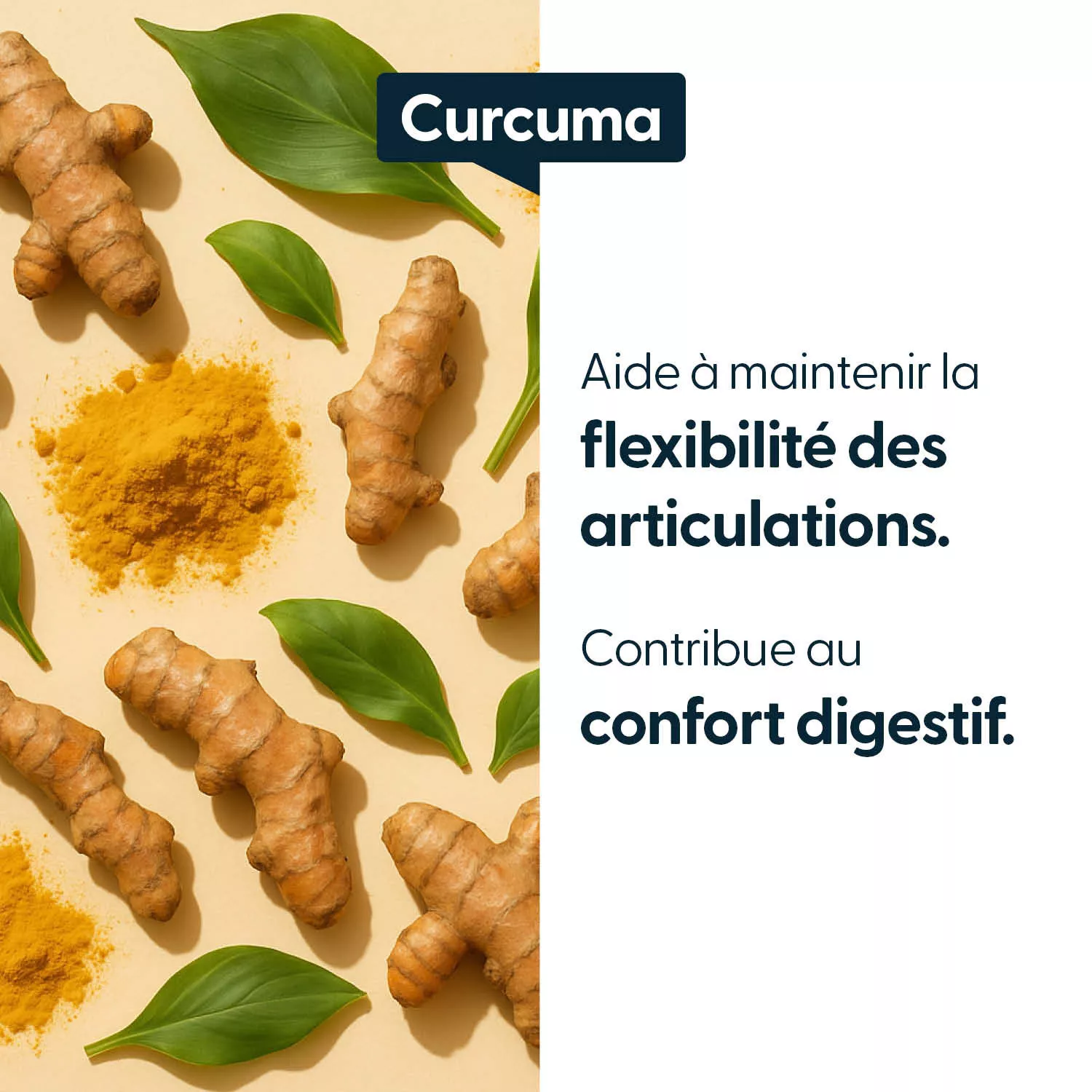 Curcuma titré à 95 % de curcumine - Gélules végétales