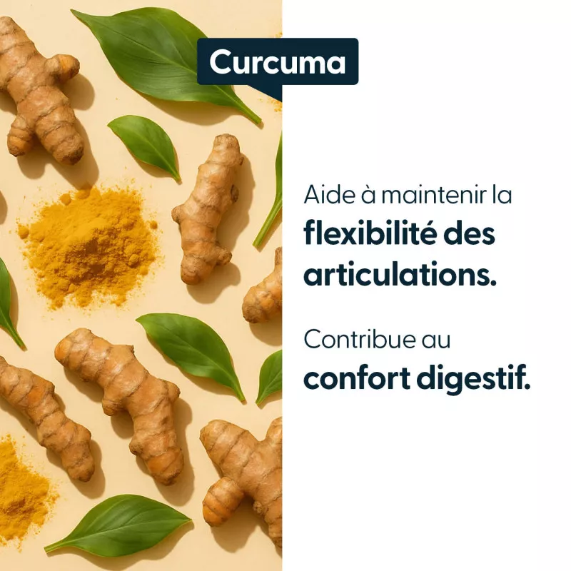 Curcuma titré à 95 % de curcumine - Gélules végétales