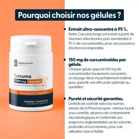 Curcuma titré à 95 % de curcumine - Gélules végétales