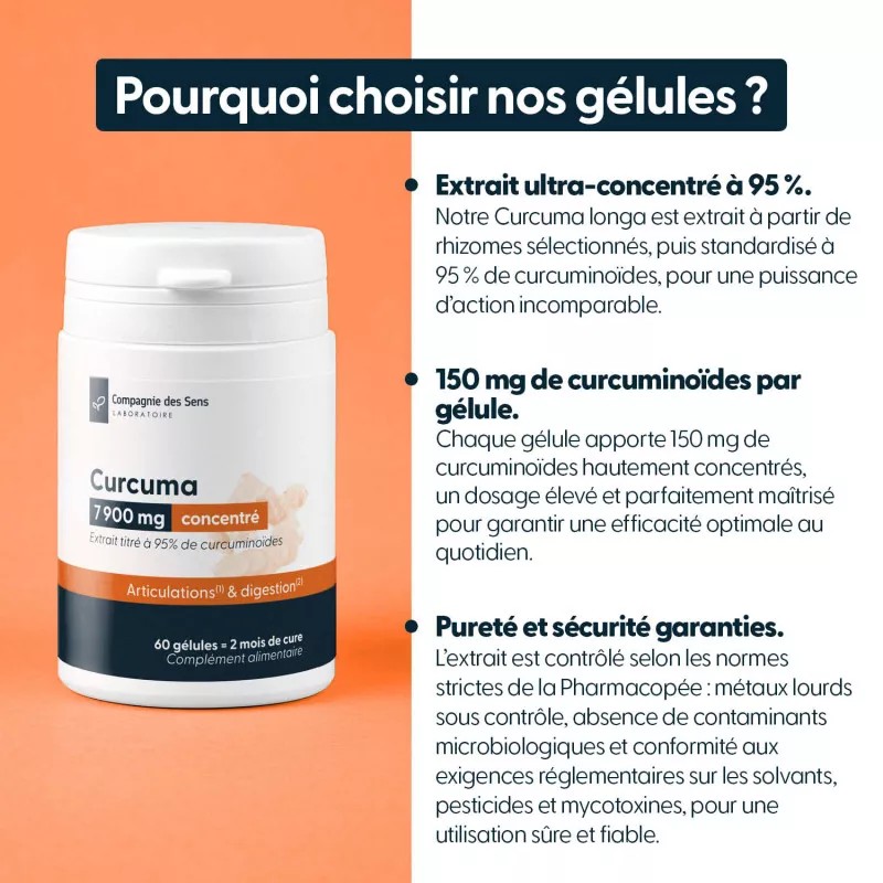 Curcuma titré à 95 % de curcumine - Gélules végétales