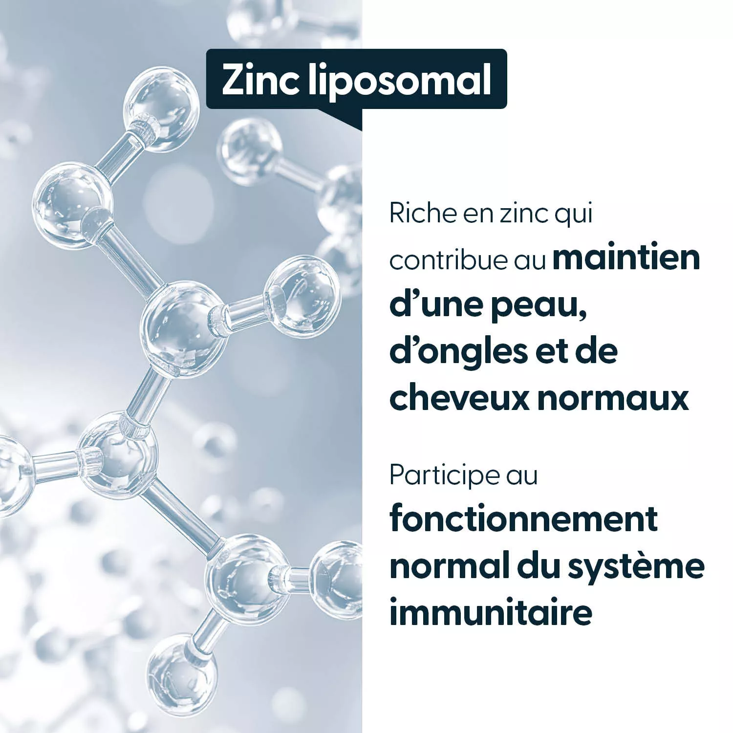 Bisglycinate de Zinc SF Albion - Gélules végétales