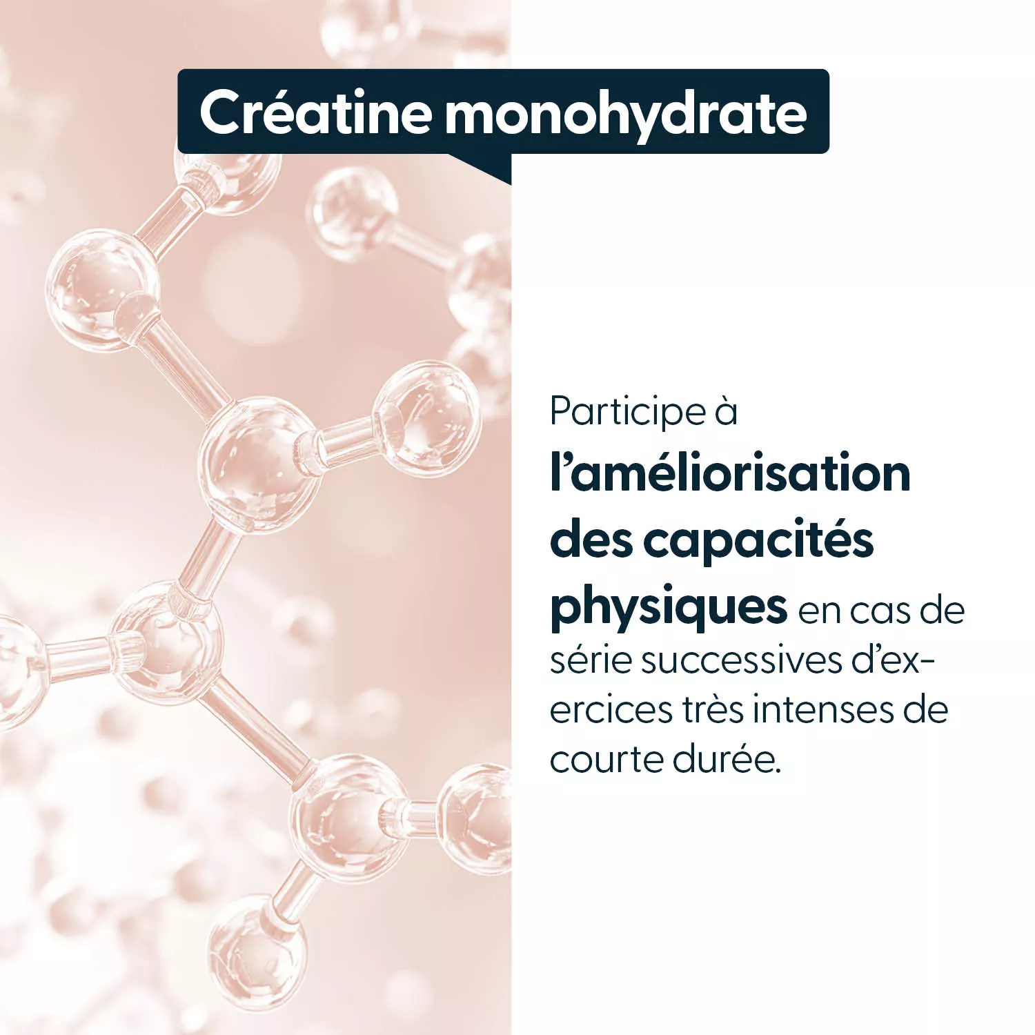 Créatine monohydrate - Gélules végétales