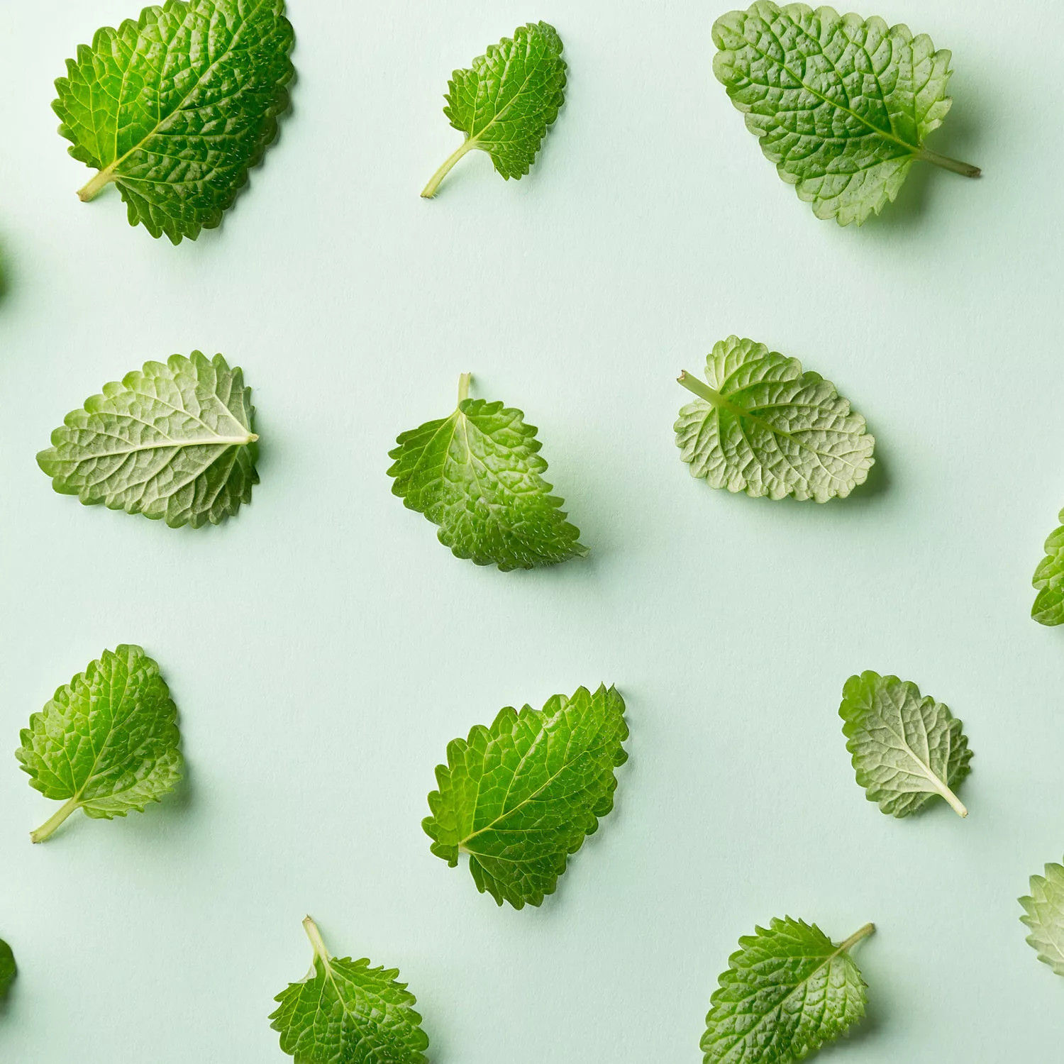 MENTHE POIVRÉE - Huile essentielle BIO