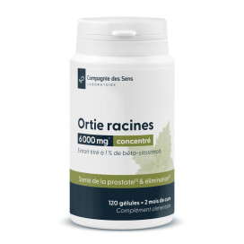 Ortie racines concentrées 