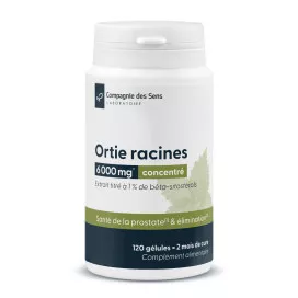 Ortie racines concentrées