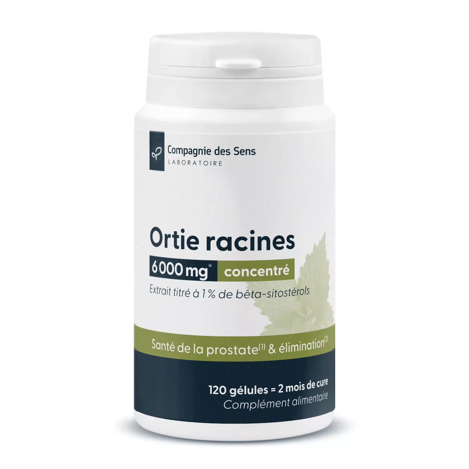 Ortie racines concentrées - 1 % de bêta sitostérols