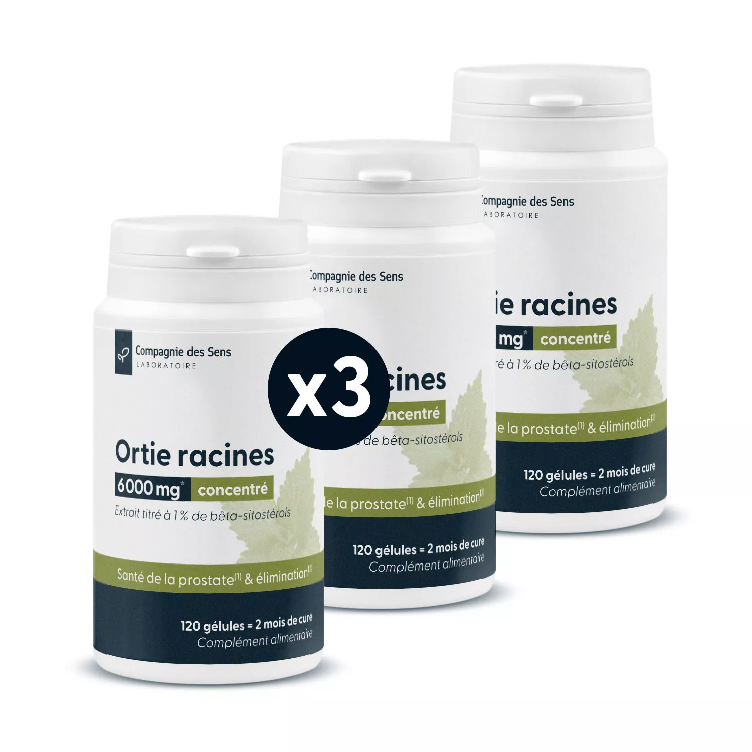 Ortie racines concentrées - 1 % de bêta sitostérols