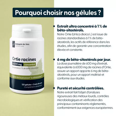 Ortie racines concentrées - 1 % de bêta sitostérols