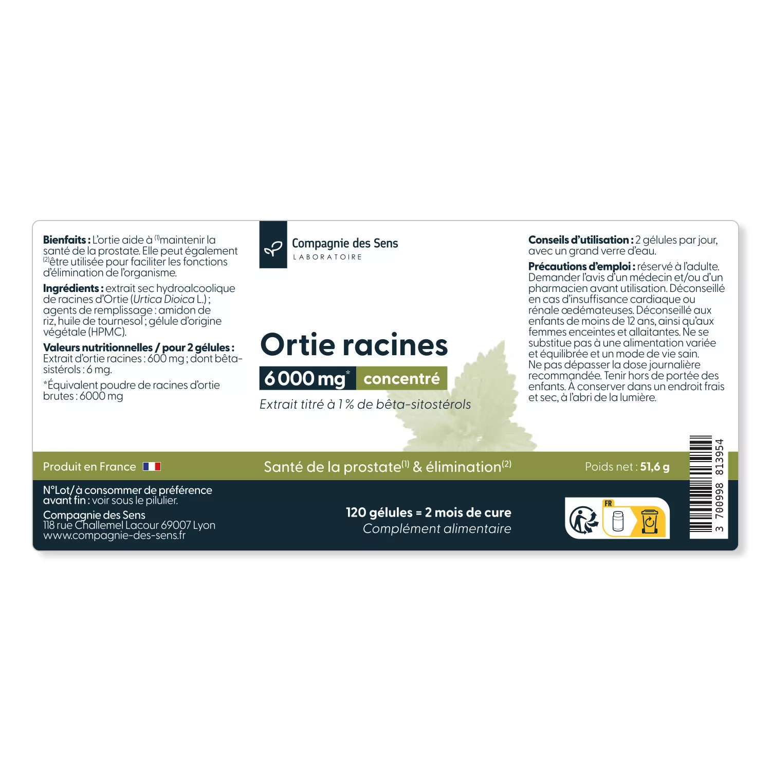 Ortie racines concentrées - 1 % de bêta sitostérols