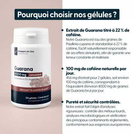 Guarana concentré - Titré à 22 % de caféine
