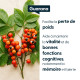 Guarana concentré - Titré à 22 % de caféine