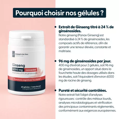 Ginseng concentré - 24 % de ginsénosides