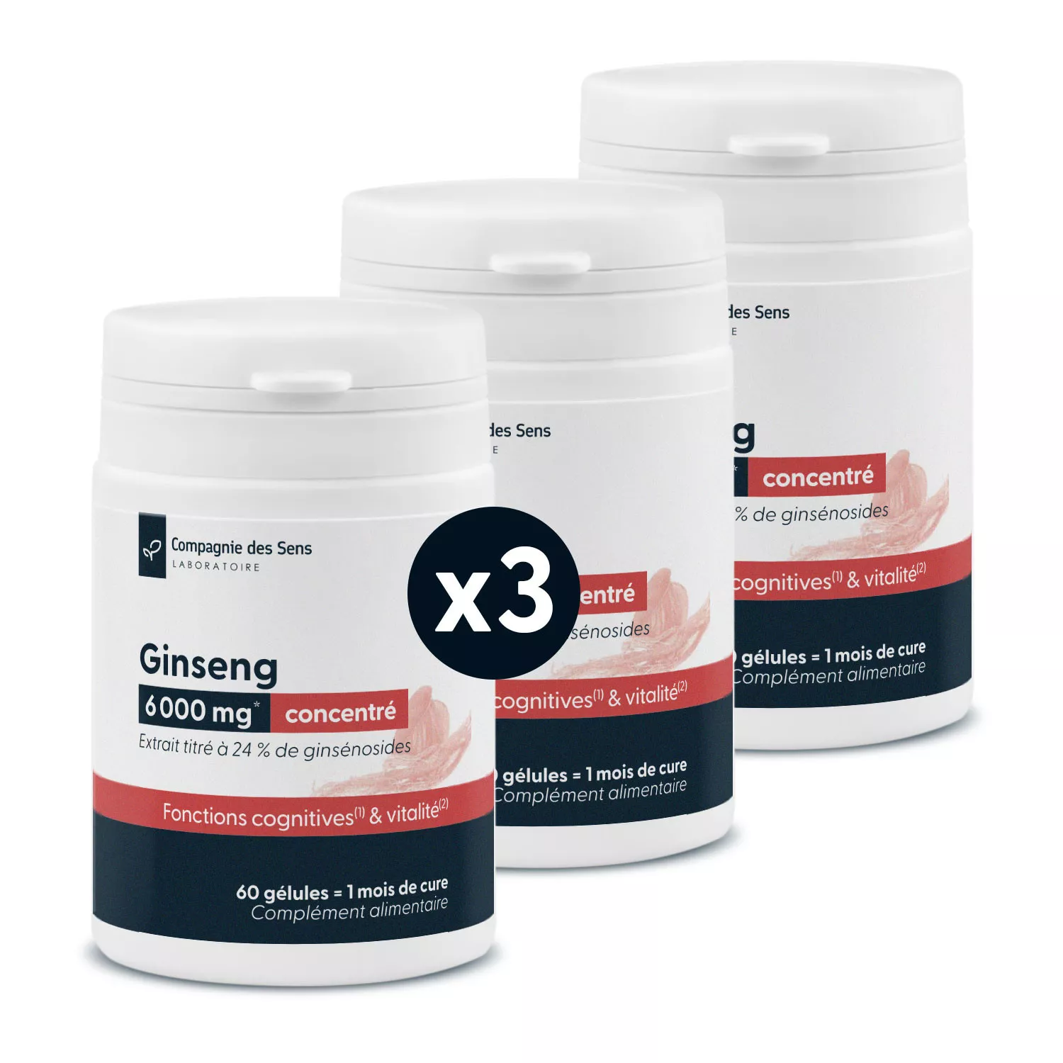 Ginseng concentré - 24 % de ginsénosides