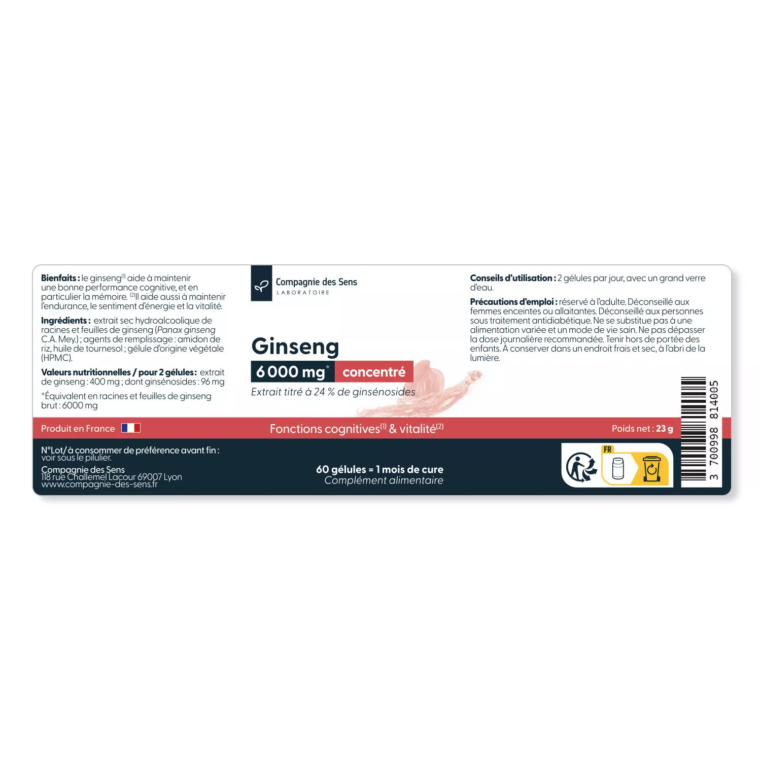 Ginseng concentré - 24 % de ginsénosides