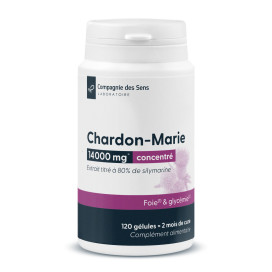 Chardon marie concentré 