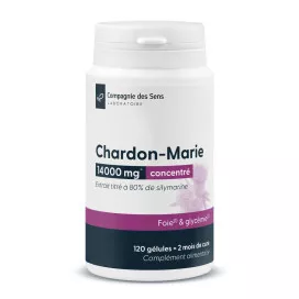 Chardon Marie concentré