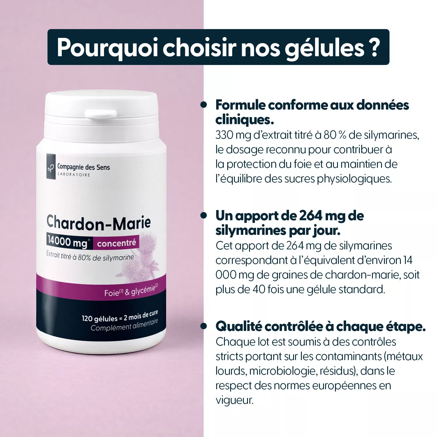 Chardon Marie titré à 80 % de silymarine - 30 gélules végétales
