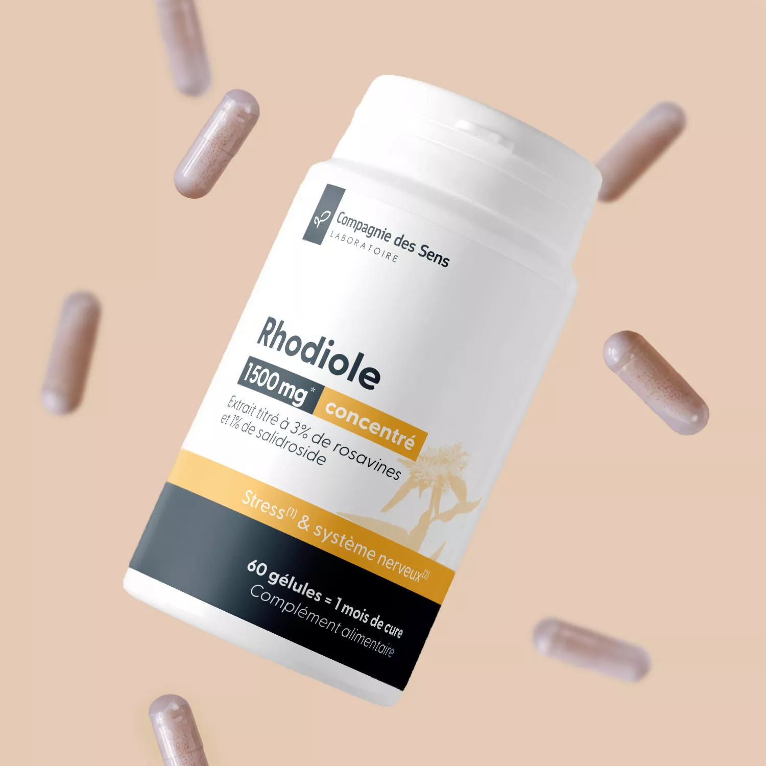 Rhodiole concentrée -3 % de rosavines & 1 % de salidroside