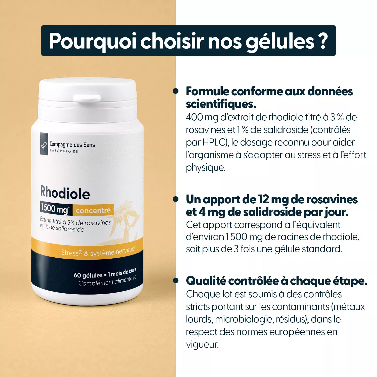 Rhodiole concentrée -3 % de rosavines & 1 % de salidroside