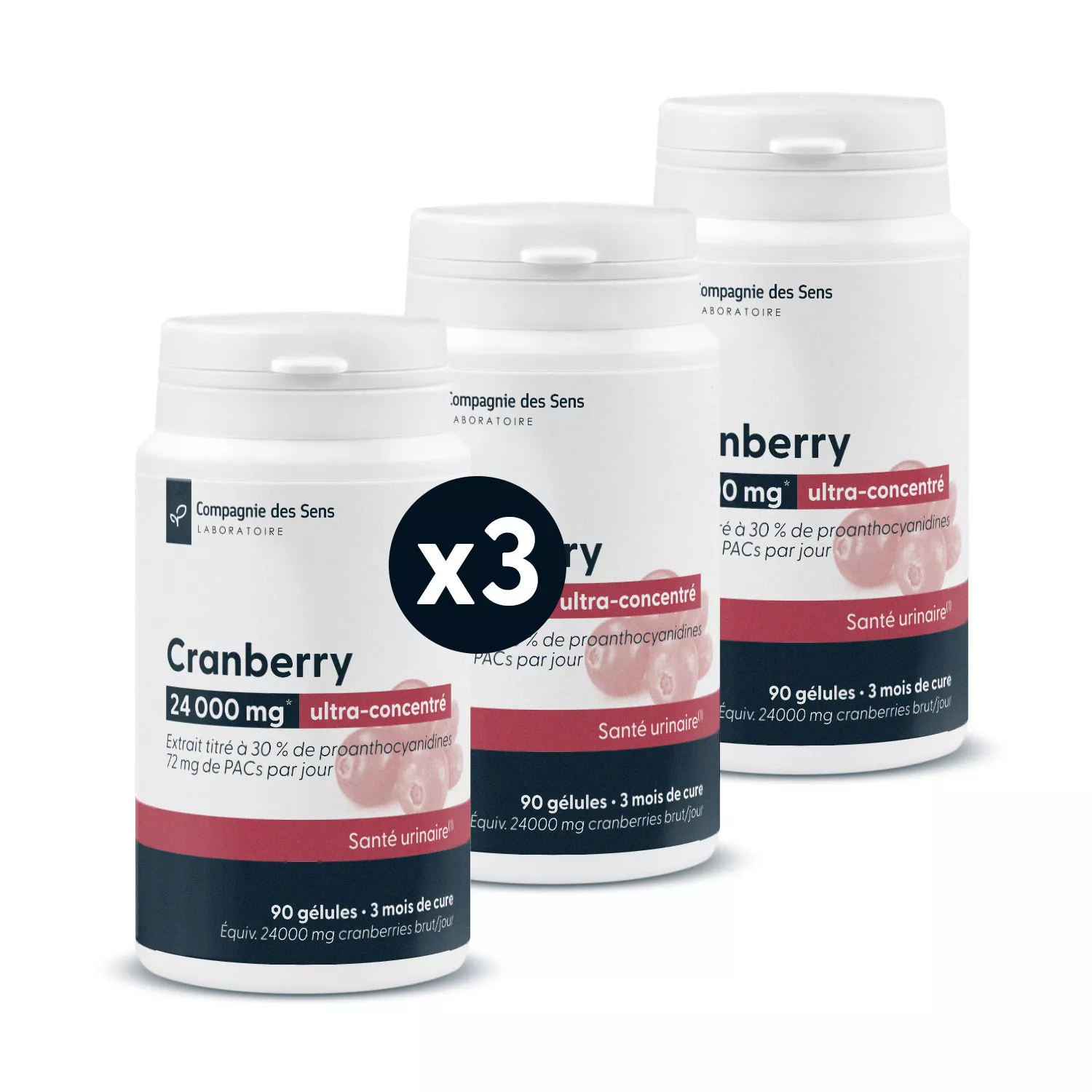Cranberry concentrée - 30 % de proanthocyanidines