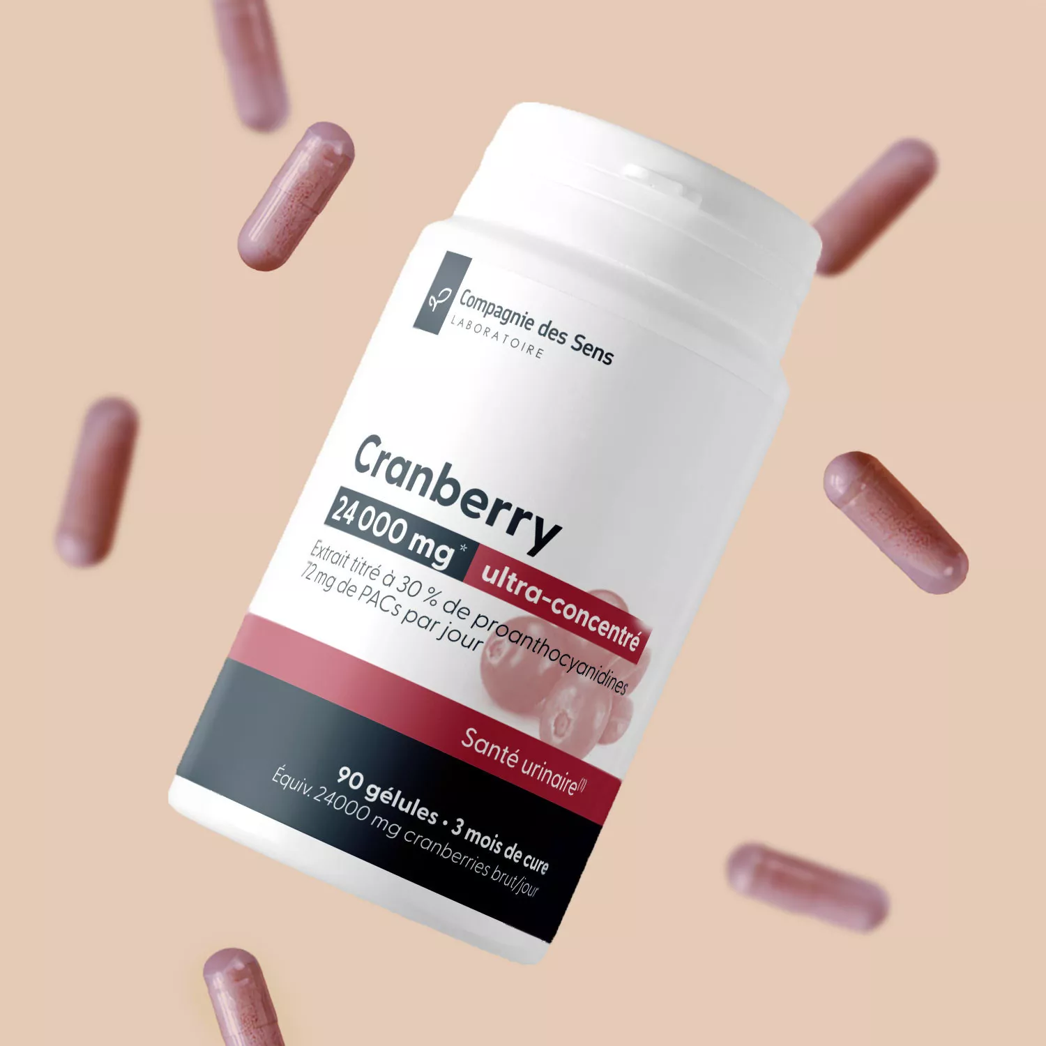 Cranberry concentrée - 30 % de proanthocyanidines