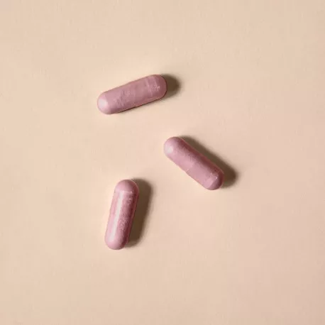 Cranberry concentrée - 30 % de proanthocyanidines
