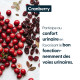 Cranberry concentrée - 30 % de proanthocyanidines