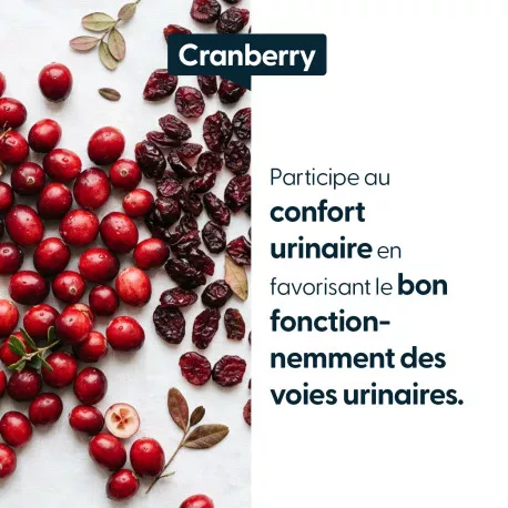 Cranberry concentrée - 30 % de proanthocyanidines