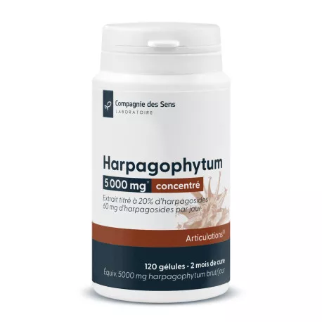 Harpagophytum titré à 20 % d'harpagosides - 30 gélules végétales