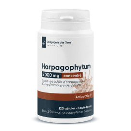 Harpagophytum concentré 
