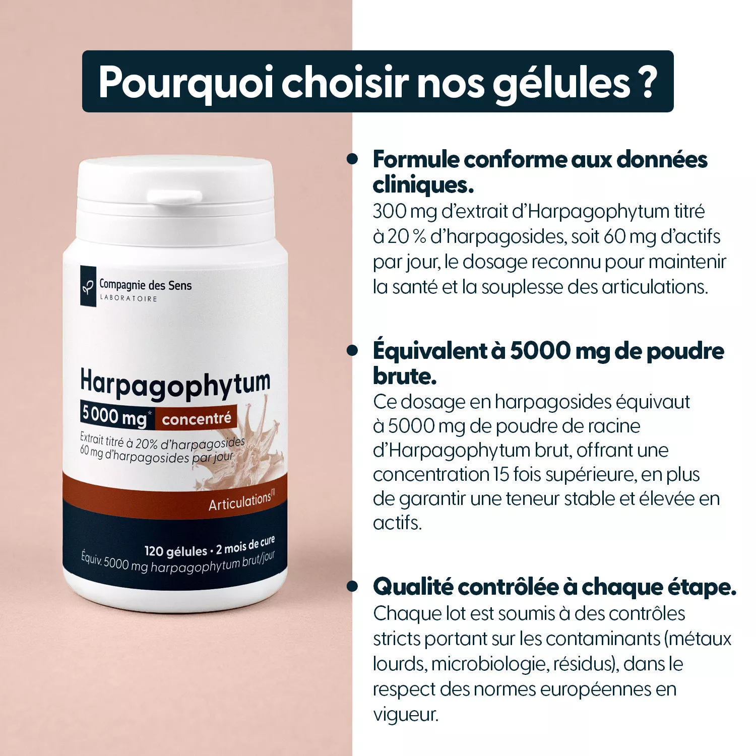 Harpagophytum titré à 20 % d'harpagosides - 30 gélules végétales