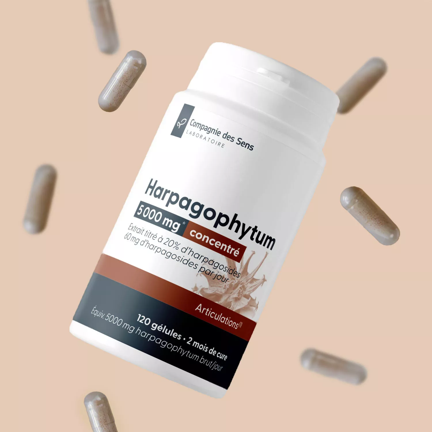 Harpagophytum titré à 20 % d'harpagosides - 30 gélules végétales