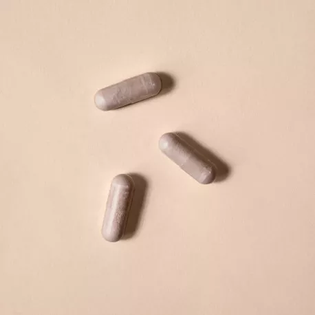Harpagophytum titré à 20 % d'harpagosides - 30 gélules végétales
