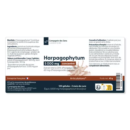 Harpagophytum titré à 20 % d'harpagosides - 30 gélules végétales