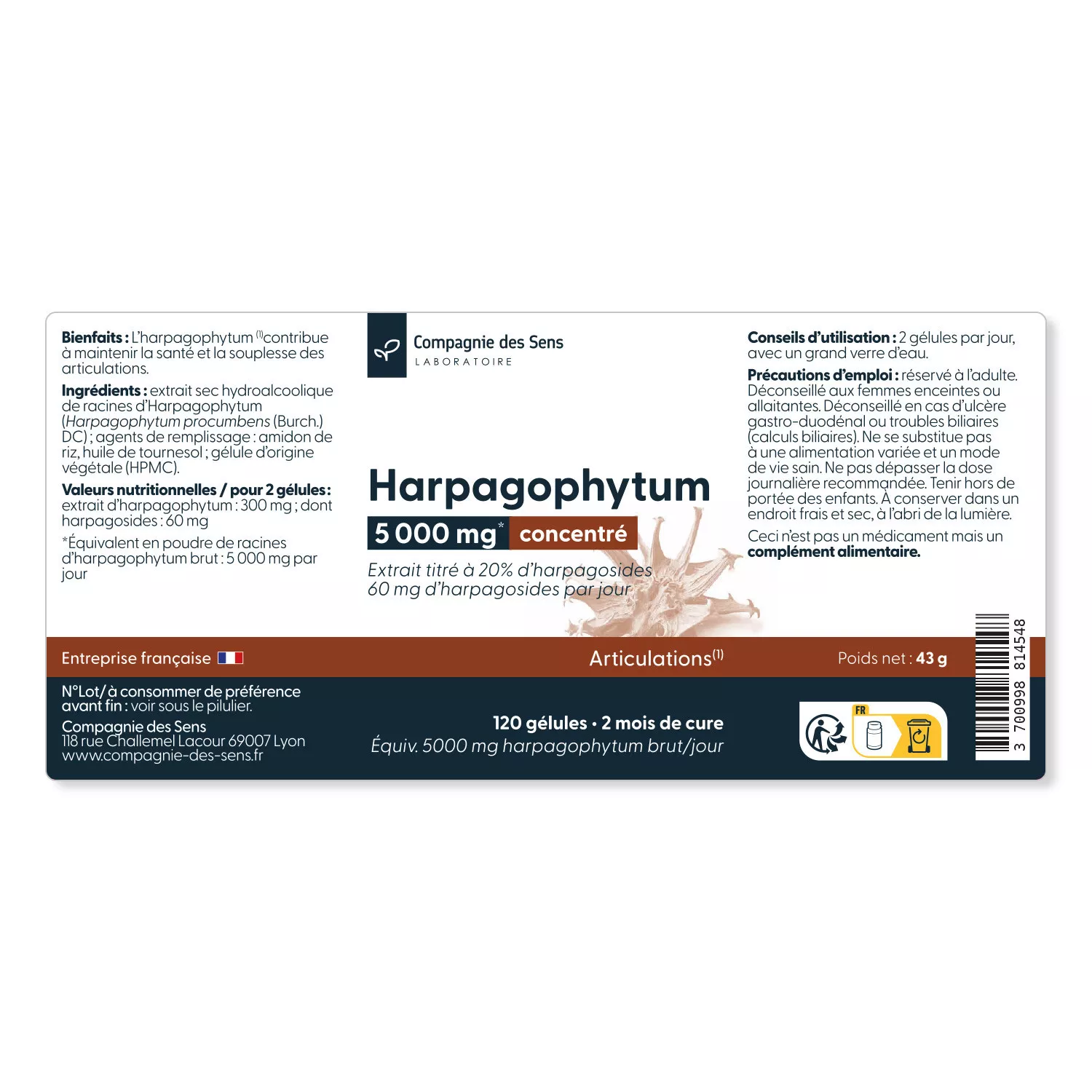 Harpagophytum titré à 20 % d'harpagosides - 30 gélules végétales