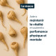 Maca concentré - Ratio 20 : 1