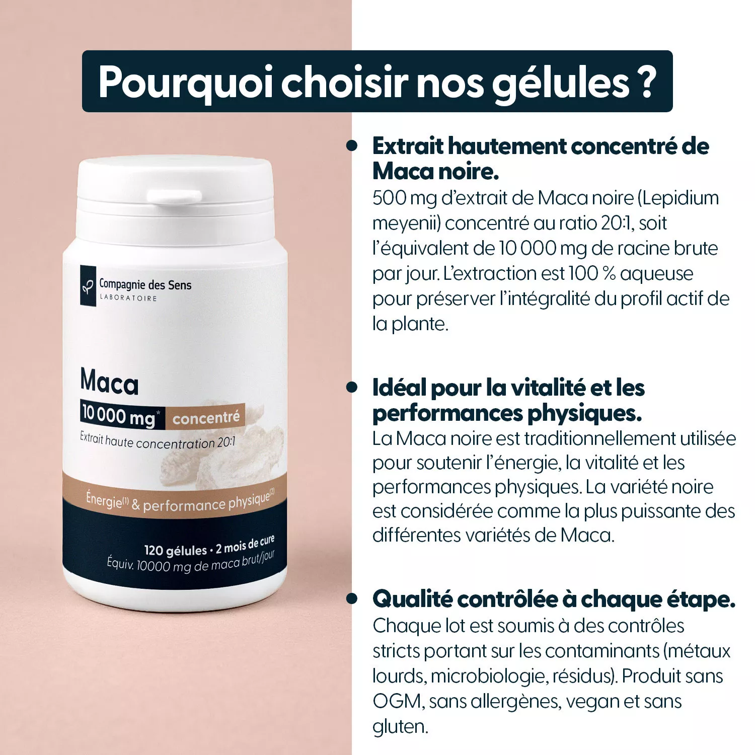 Maca concentré - Ratio 20 : 1