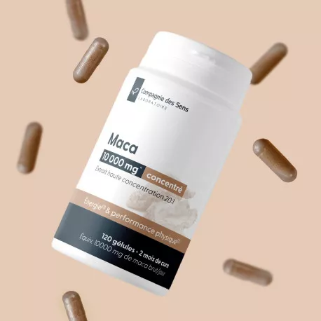 Maca concentré - Ratio 20 : 1