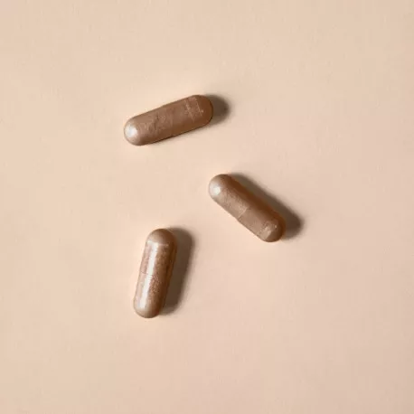 Maca concentré - Ratio 20 : 1