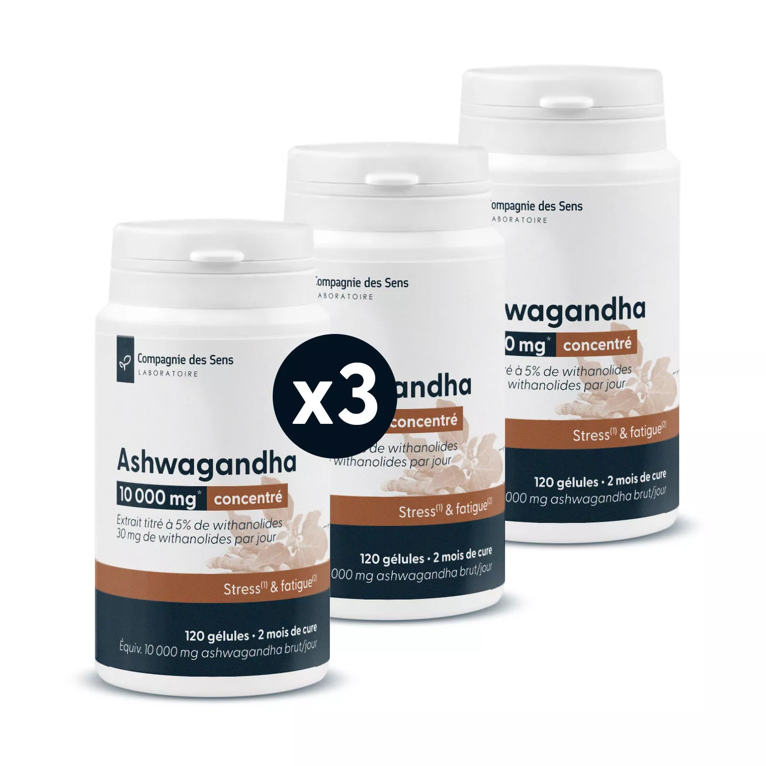 Ashwagandha concentré - Titré à 5 % de withanolides