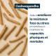 Ashwagandha concentré - Titré à 5 % de withanolides