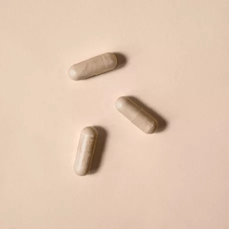 Ashwagandha concentré - Titré à 5 % de withanolides