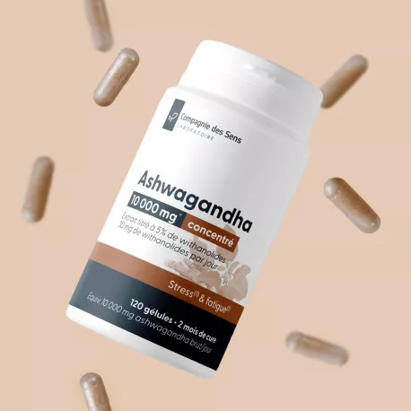 Ashwagandha concentré - Titré à 5 % de withanolides